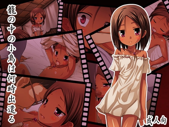 籠の中の小鳥は何時出遣る 総彩色版 [ノラネコノタマ] | DLsite 同人 - R18