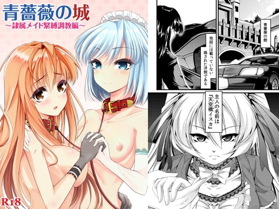 青薔薇の城～隷属メイド緊縛調教編～ [Teamはれんち] | DLsite 同人 - R18