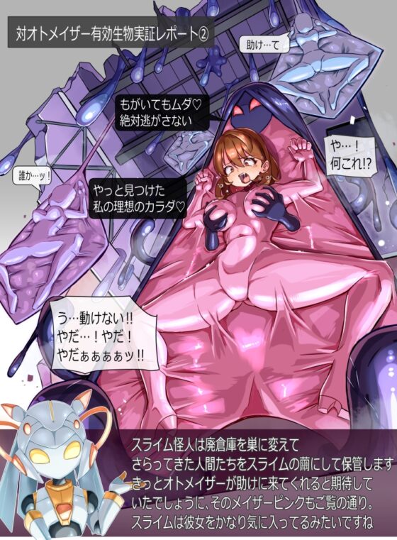 装麗癒契オトメイザー Secret Complete Guide (3)
