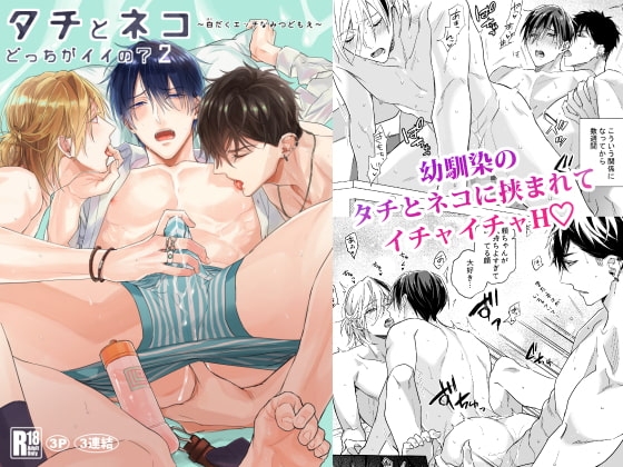 タチとネコどっちがイイの?2～白だくエッチなみつどもえ～ [NS] | DLsite がるまに
