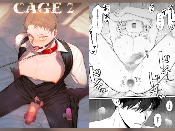 CAGE 2  -異常執着- [シマブウエ] | DLsite がるまに