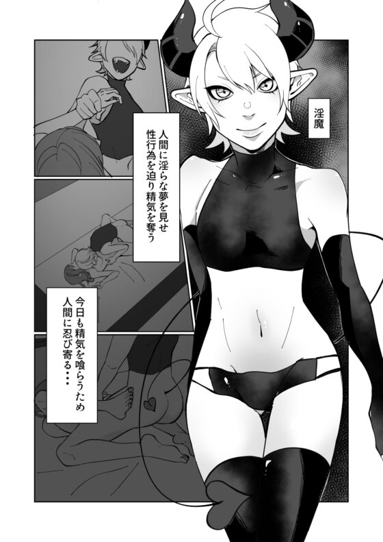 ポンコツ淫紋淫魔に性的制裁したら気に入られた [ユーノオクツキ] | DLsite がるまに