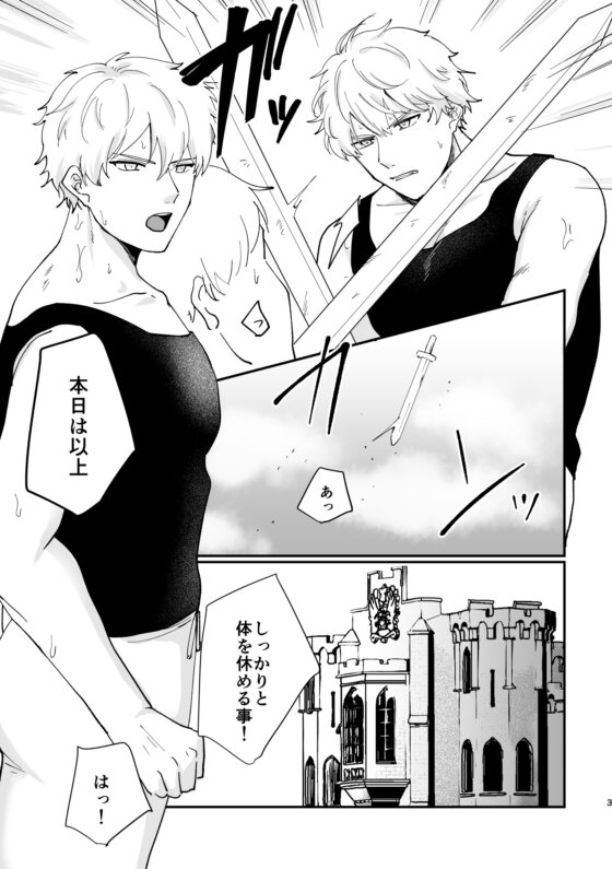 騎士団長の陥落 [ですよね] | DLsite がるまに