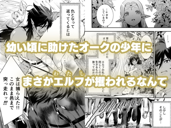 オークの花嫁 ～攫われエルフは快楽に堕ちる～ [Jewelry Box] | DLsite がるまに