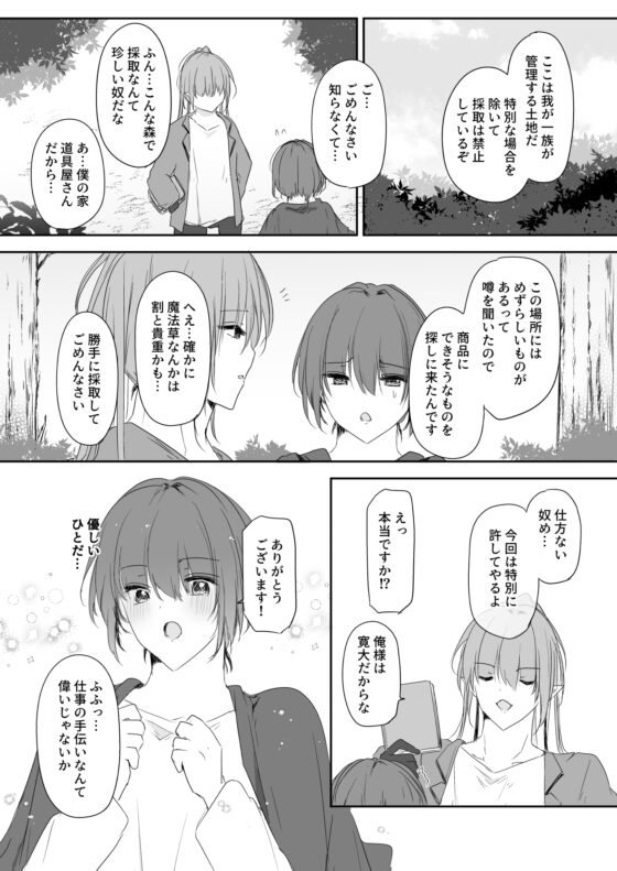 素敵なエルフのお兄さん [マカロニ貴族] | DLsite がるまに