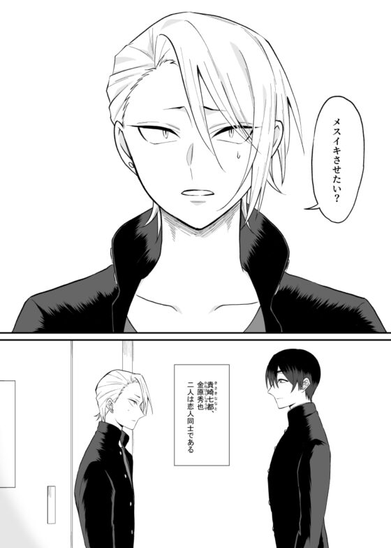 とある不良と生徒会長のメスイキ計画 [360度回転] | DLsite がるまに