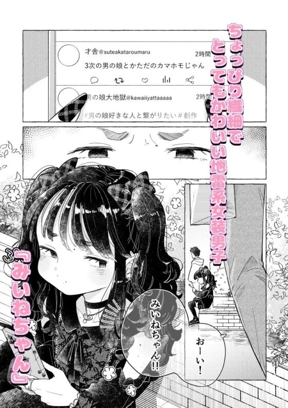 地雷系女装男子みいねちゃん [crayfish] | DLsite がるまに