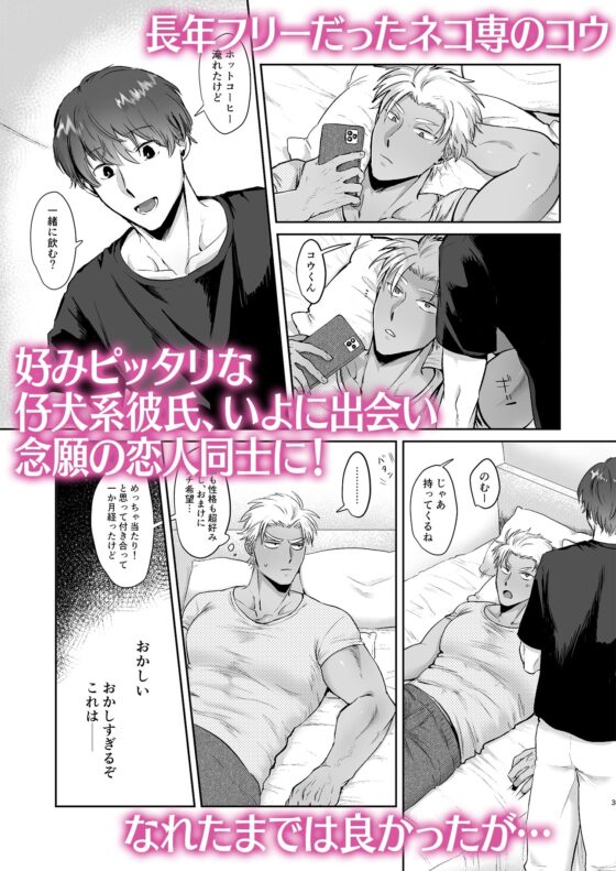 いよくんとコウくん ～褐色ガチムチ男子が優男彼氏のデカチンねっとりセックスでアへ顔連続メスイキする話～ [おにく帝國] | DLsite がるまに