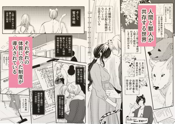 蜜月の狼さんはとまれません。 [和菓子商店] | DLsite がるまに