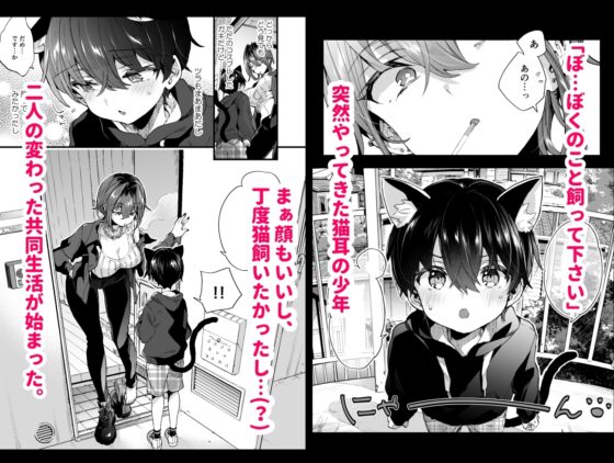 ちょっと怖いおねーさんに飼ってもらう事になりました。 [紺色ドロップス] | DLsite 同人 - R18