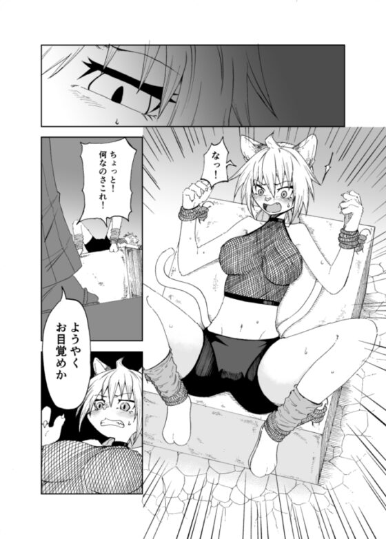 泥棒猫にはお仕置きを [道中の村] | DLsite 同人 - R18