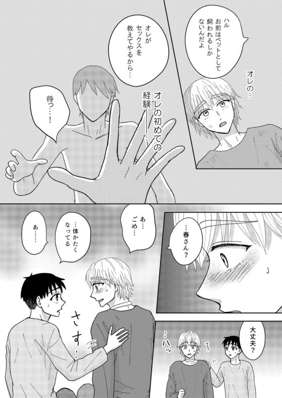 ぼくのペットのお兄さん3 [らんらんらん] | DLsite がるまに