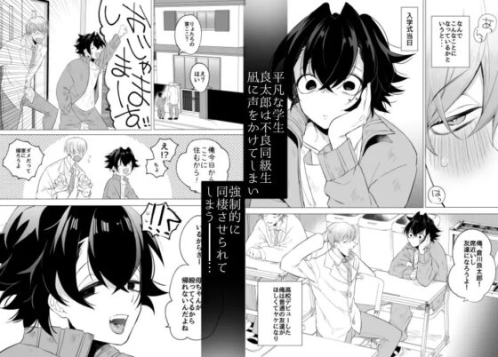 友ダチだよね? [空色日和] | DLsite がるまに