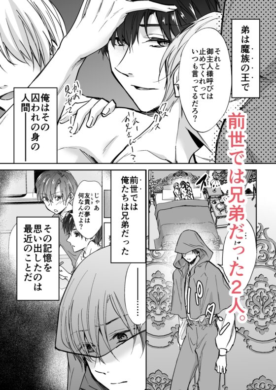 転生先で傍若無人な弟(魔族)に死ぬほど愛されています [PE/早朝寝] | DLsite がるまに