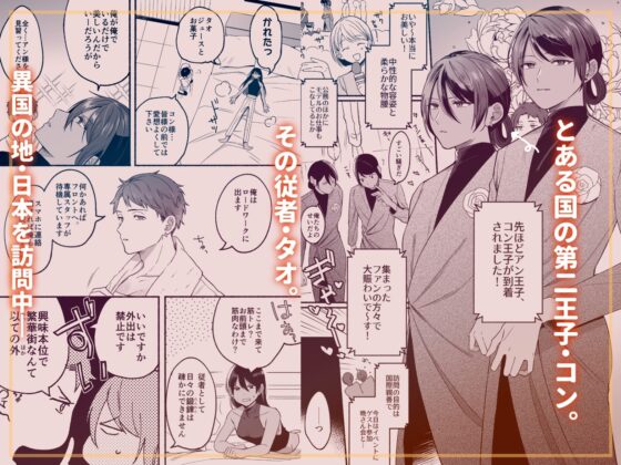 第二王子のバレてはいけない初体験 [冷凍くん] | DLsite がるまに