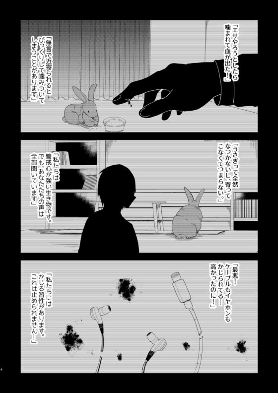 返品うさぎ-はじめてのうさんぽ編- [とこのま] | DLsite 同人
