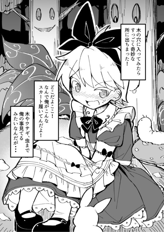 不思議の国に来てしまったアリスくん [安全地帯] | DLsite 同人