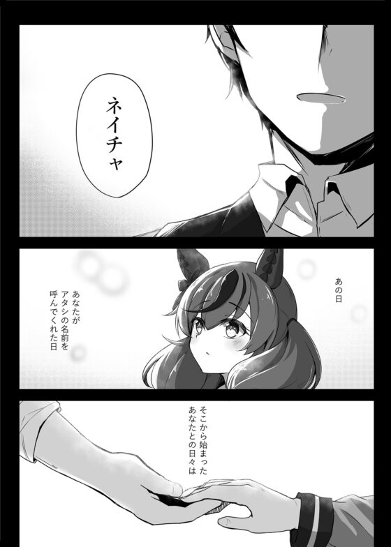 アイネクライネ [雨洩り宿] | DLsite 同人