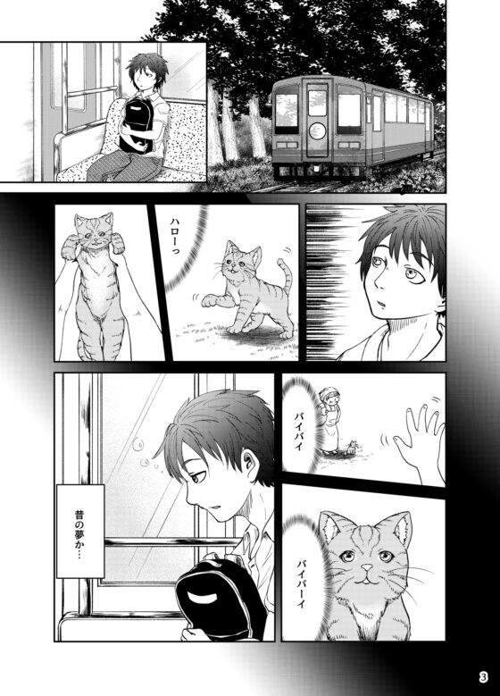 ハロといっしょ! [うらかがく部] | DLsite 同人
