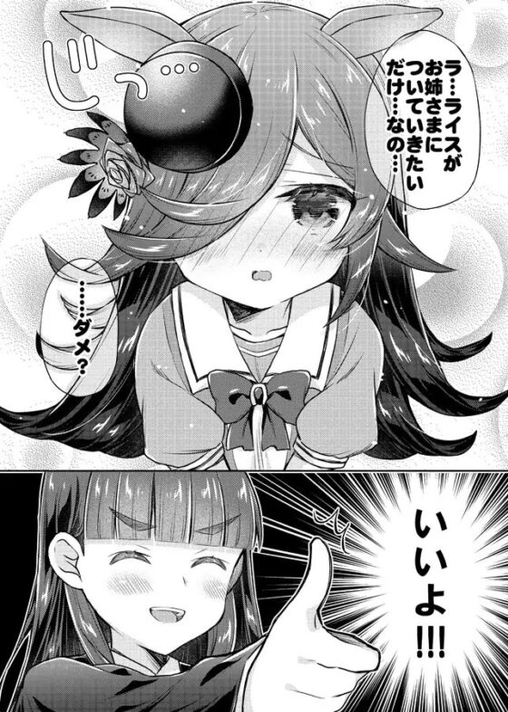 面舵いっぱいいっぱいのライス本詰め合わせ [面舵いっぱいいっぱい] | DLsite 同人