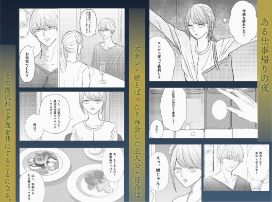 花と鎖〜鳥籠の中、薬漬けの花嫁は〜 [多分ヤンデレしか描かない] | DLsite がるまに