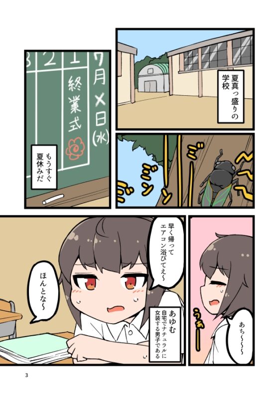 自宅でナチュラルに女装する男子の夏休み [安全地帯] | DLsite 同人