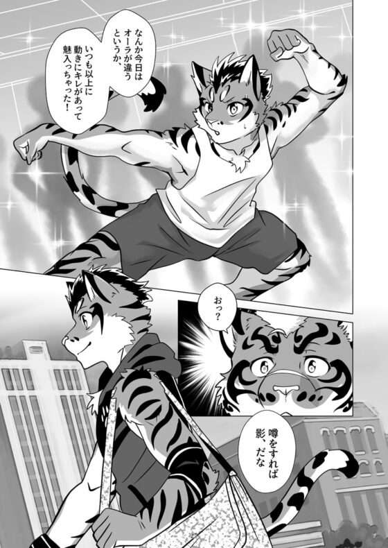 ねこひいき! [くだものだもの] | DLsite がるまに