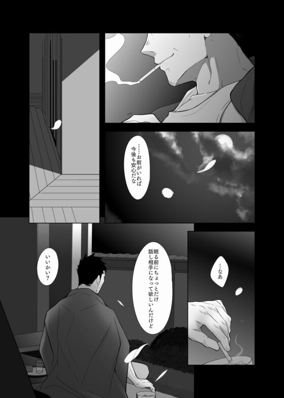 力丸忍法帖 弐 [シラヌイ] | DLsite がるまに