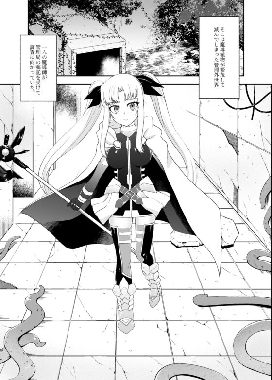 フェイトちゃんが××中毒になる本 [ぷらなりあ亭] | DLsite 同人 - R18