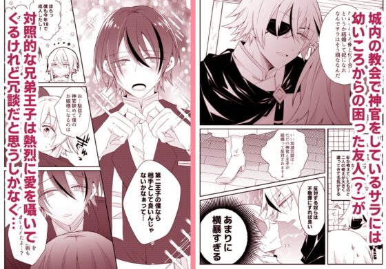 溺愛系ヤンデレ兄弟王子は愛しの神官を魔族堕ちさせたい [はとペア] | DLsite がるまに