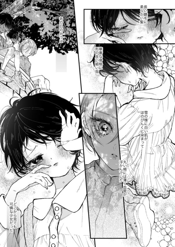 雛鳥の夢想 [センダ観測所] | DLsite がるまに