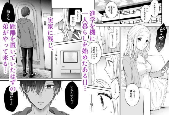 それでも僕は姉さんを愛してる [獄楽生活] | DLsite がるまに