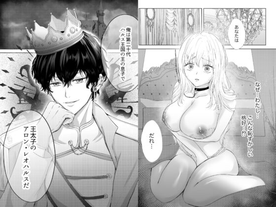 転生したら黒王太子に溺愛されました [Ash+] | DLsite がるまに