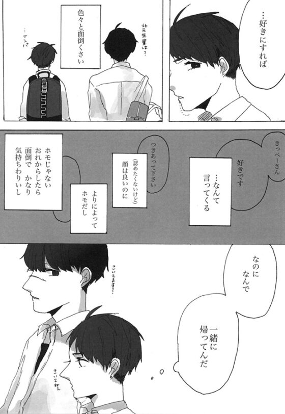 嘘つきのパラドックス [bokoboko] | DLsite がるまに