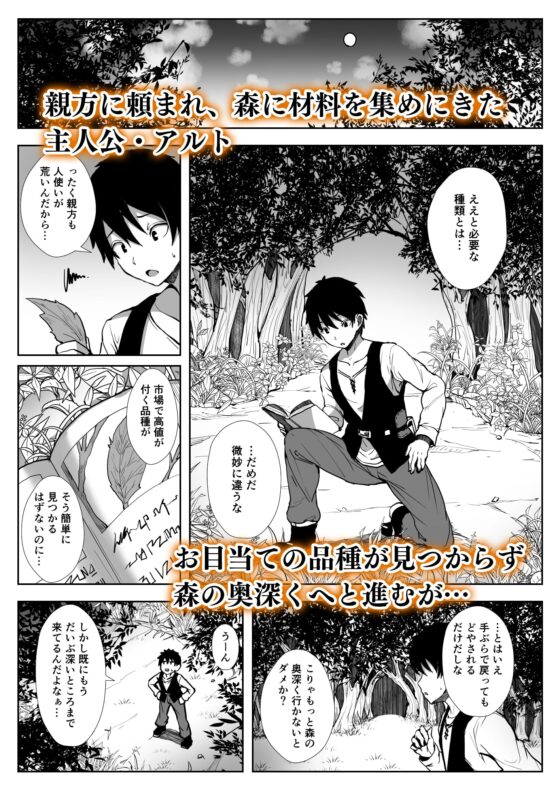 エルフハーレム [diletta] | DLsite 同人 - R18