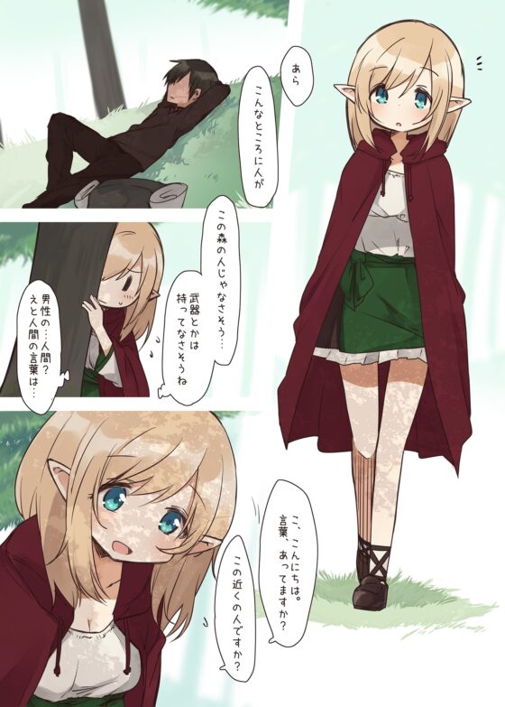 エルフの住む森。 [いーすとはうす] | DLsite 同人 - R18