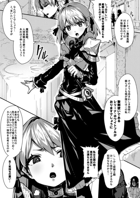 性剣錬成 『王国の剣』とか自称してイキってた姫騎士が、ガニ股国辱玩具に堕ちるまで── [アカネ セキロ] | DLsite 同人 - R18