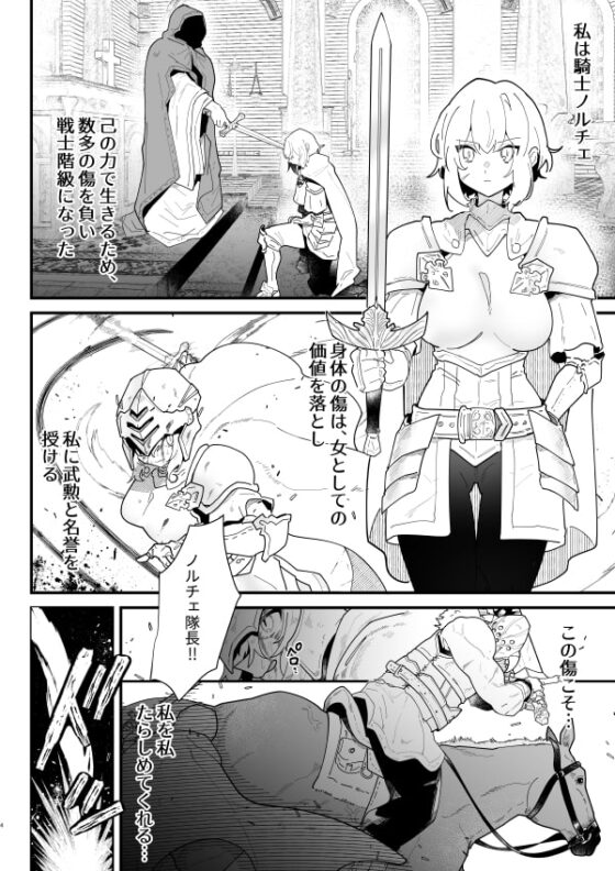 女騎士ノルチェの受難 [ナユタの運ぶ音] | DLsite 同人 - R18