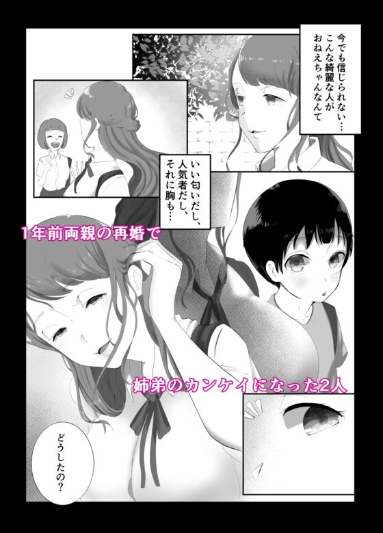 お姉ちゃんとのカンケイ [準社員井上] | DLsite 同人 - R18