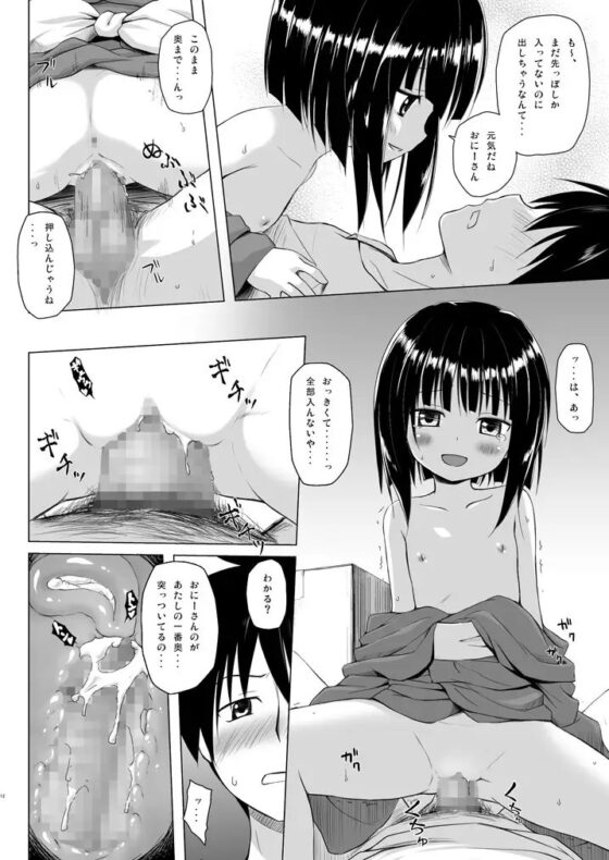 ものけもの総集編 前夜 [ノラネコノタマ] | DLsite 同人 - R18