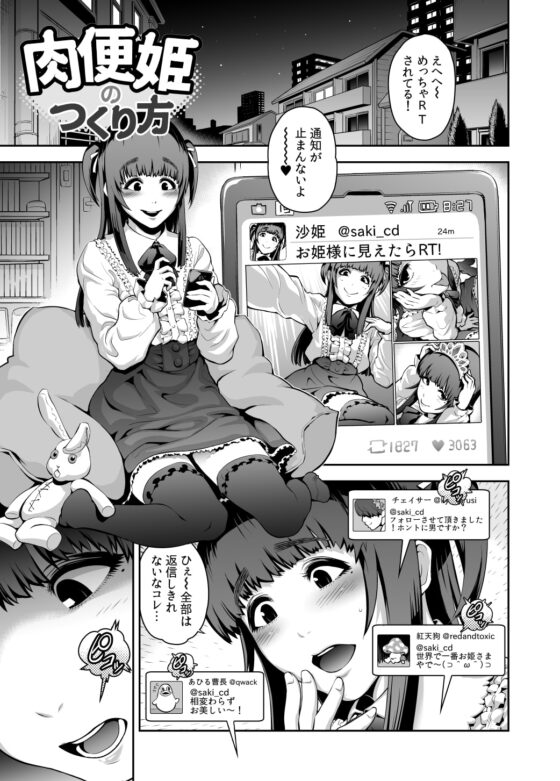 肉便姫のつくり方 [兎二角] | DLsite 同人 - R18
