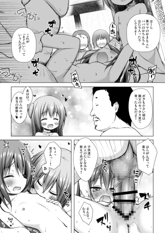 光の君のさがなき計画〈光〉 [ノラネコノタマ] | DLsite 同人 - R18