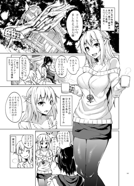とあるエルフを引き取りまして [SlapStickStrike] | DLsite 同人 - R18