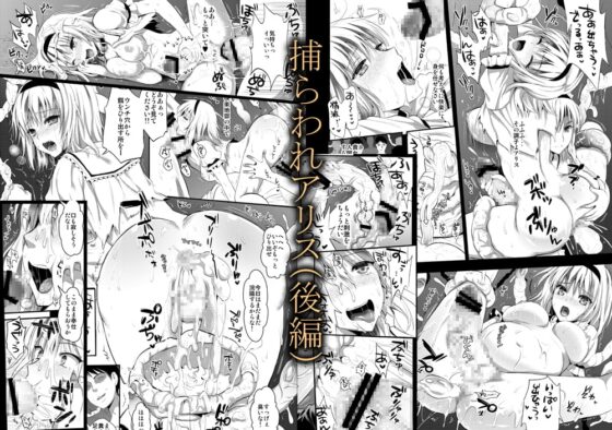 捕らわれアリス 糞肉便器(後編) [ユリルラリカ] | DLsite 同人 - R18