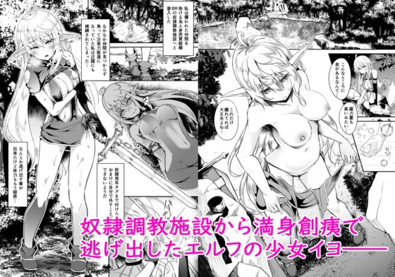 逃亡ELF6 [白金堂] | DLsite 同人 - R18