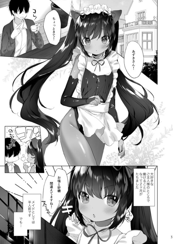 あずきさんは限界です! [ANCHOR] | DLsite 同人 - R18