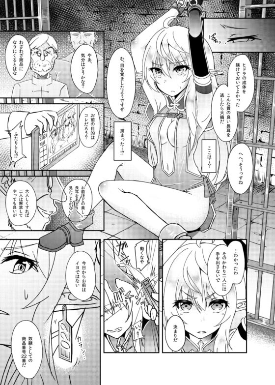 逃亡ELF [白金堂] | DLsite 同人 - R18