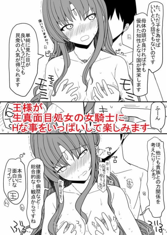 頭の固い女騎士をチ○ポの力でトロトロにする話 [EsuEsu] | DLsite 同人 - R18
