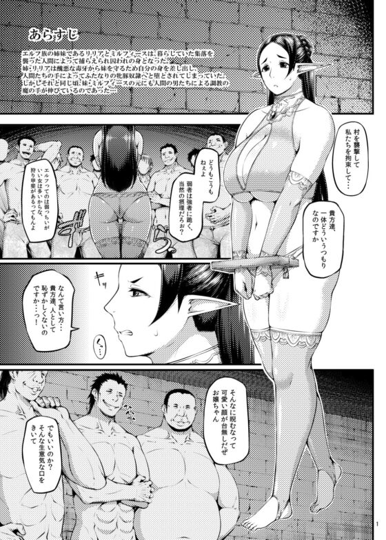 籠の中の鳥 第二集 [大きな器] | DLsite 同人 - R18