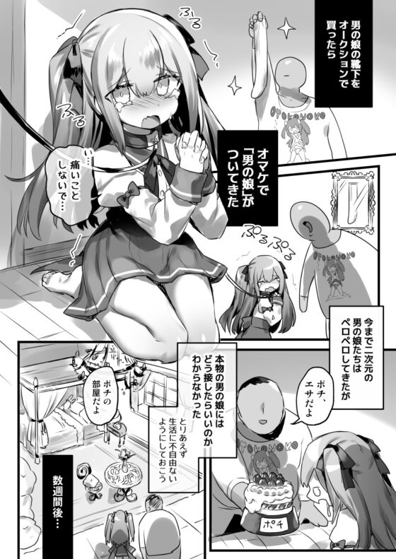 男の娘・女装まとめ 〜イチャラブ から 可哀想まで〜 [わくわく養豚所。] | DLsite 同人 - R18